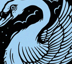 Swan Illustration Print