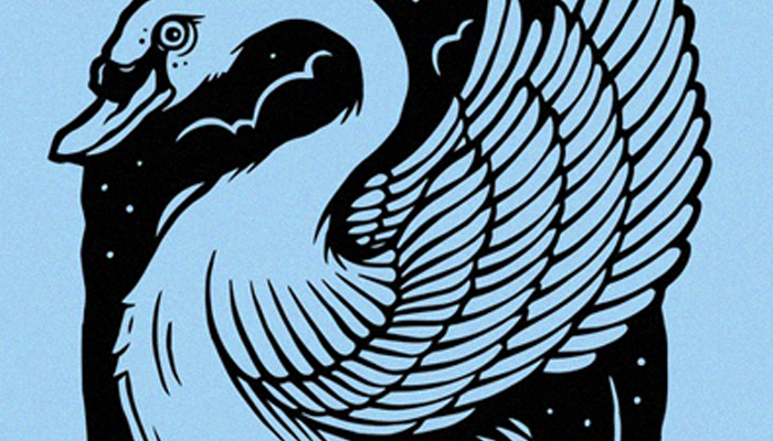 Moonlight Swan art print