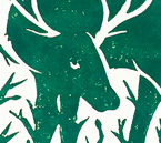 The Woods art print